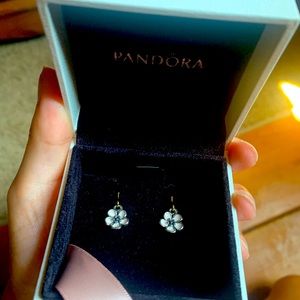 Pandora Earrings